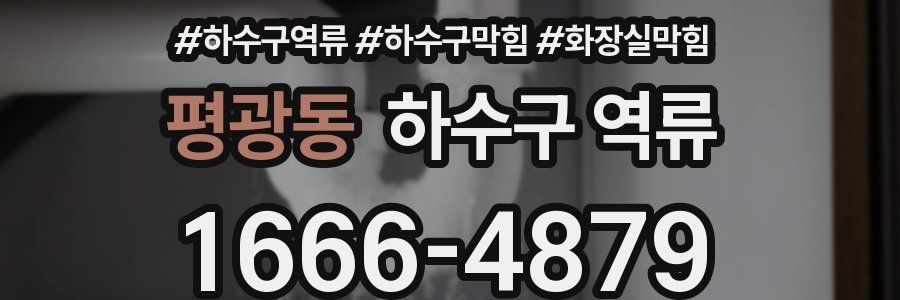 평광동 하수구 역류