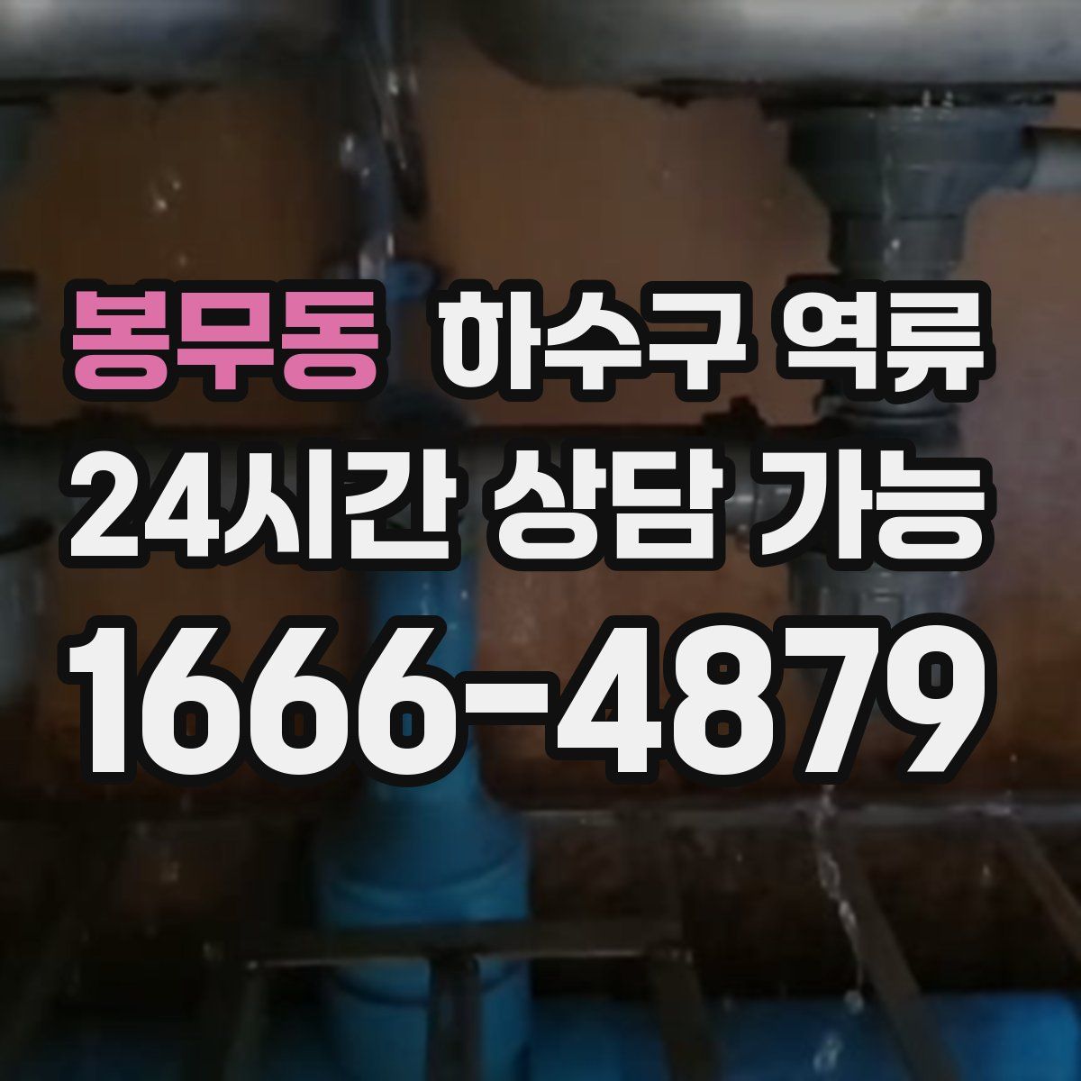 봉무동 하수구 역류