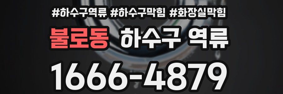 불로동 하수구 역류