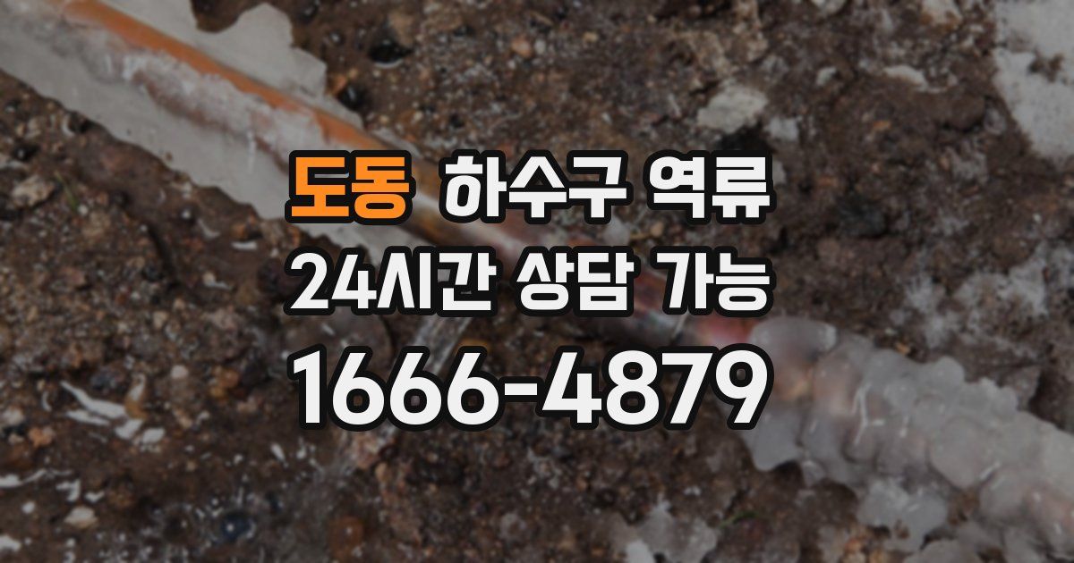 도동 하수구 역류