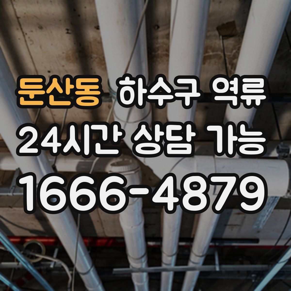 둔산동 하수구 역류