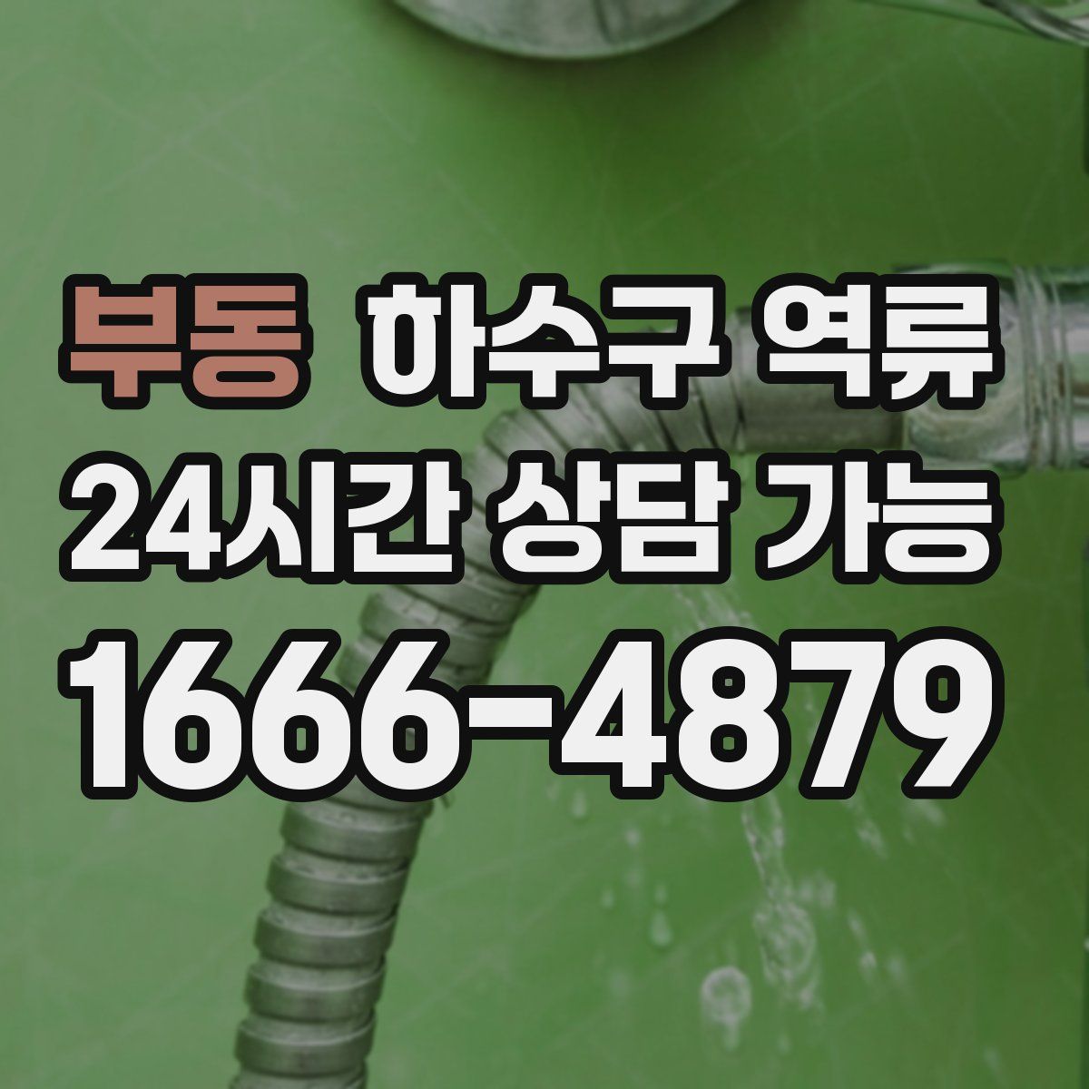 부동 하수구 역류