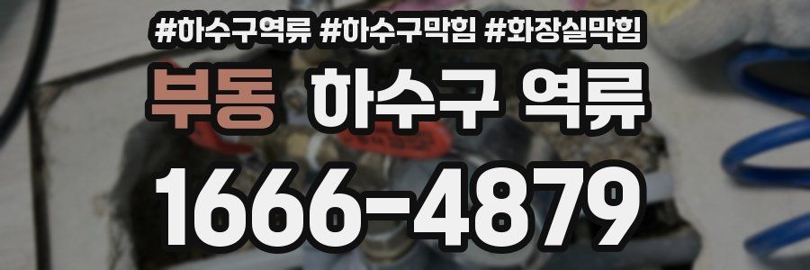 부동 하수구 역류