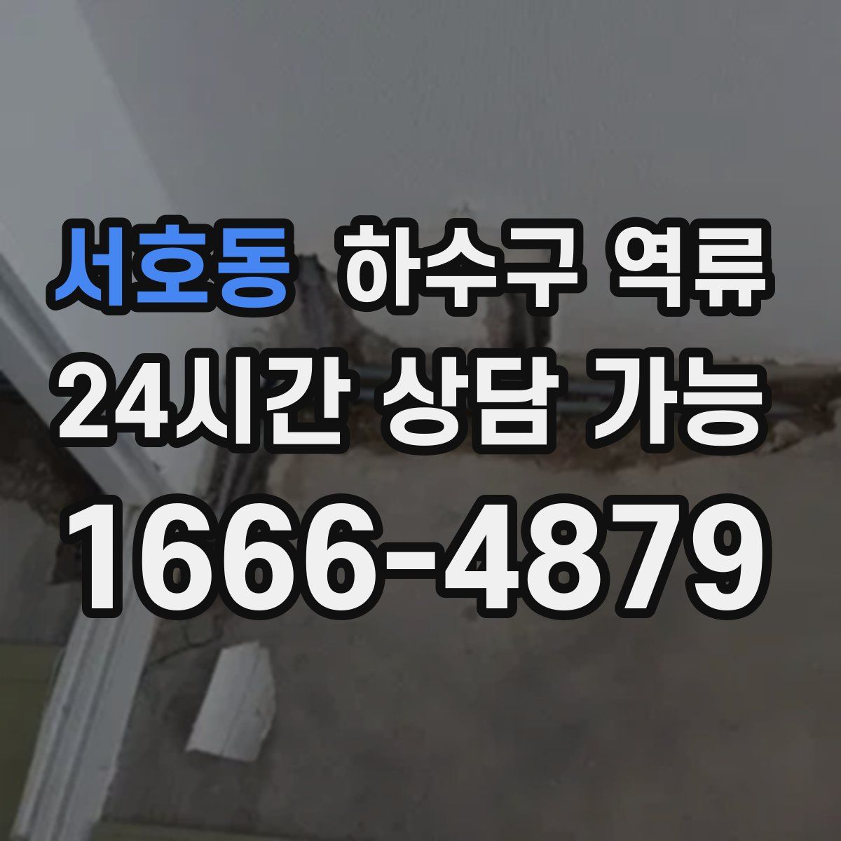 서호동 하수구 역류