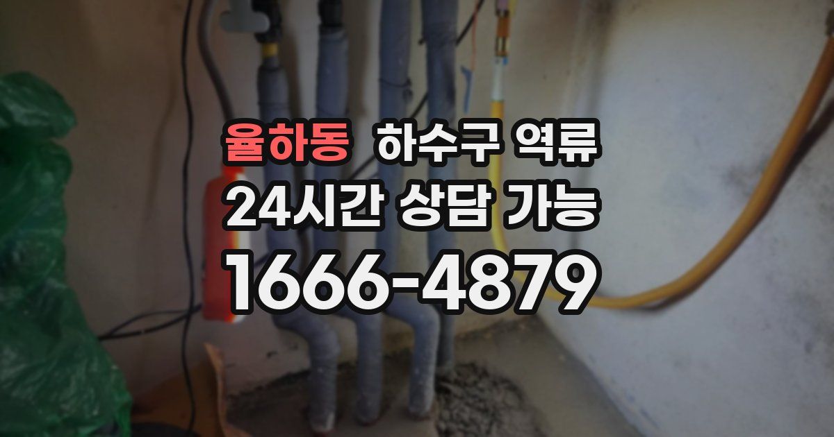 율하동 하수구 역류