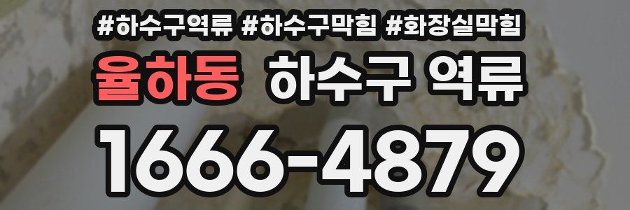 율하동 하수구 역류