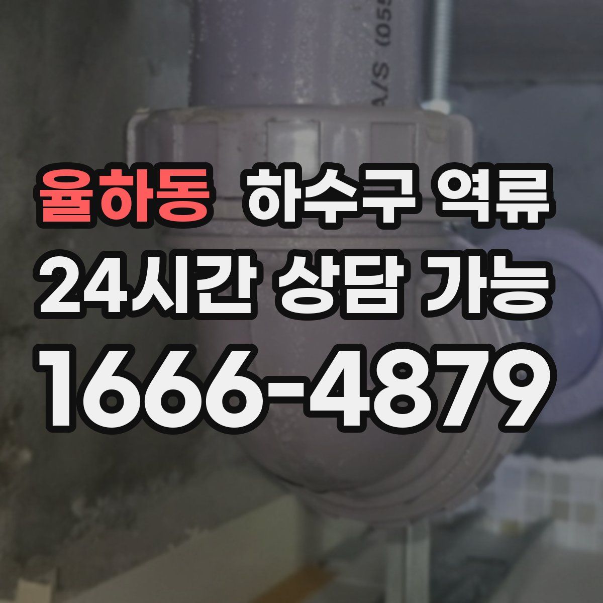 율하동 하수구 역류