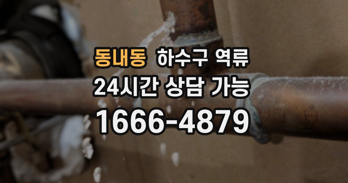 동내동 하수구 역류