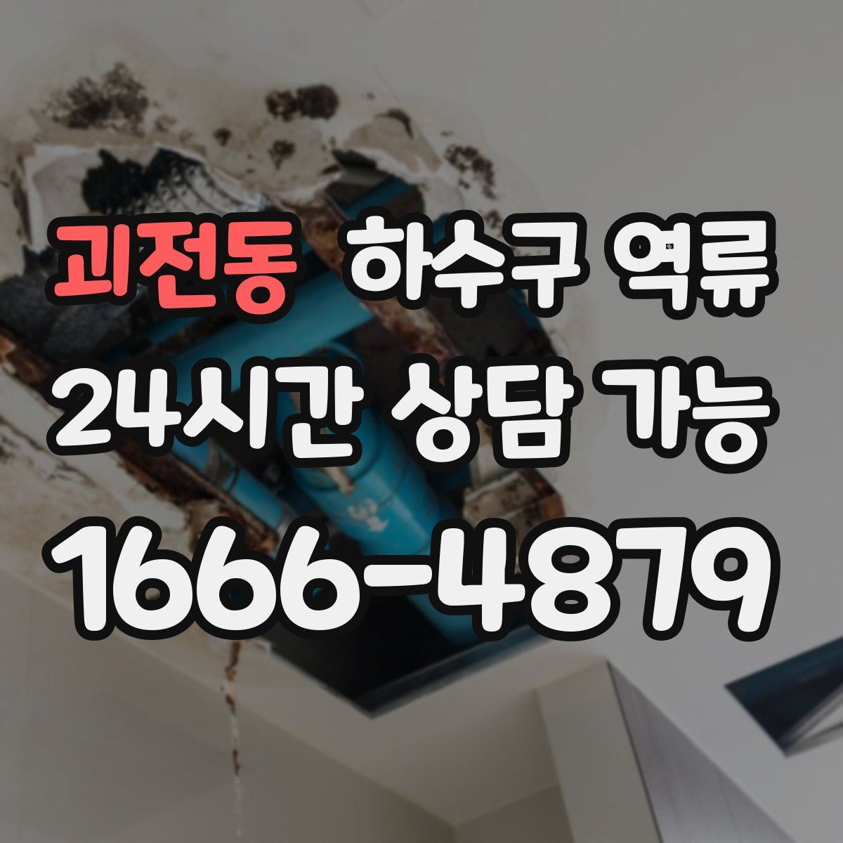 괴전동 하수구 역류