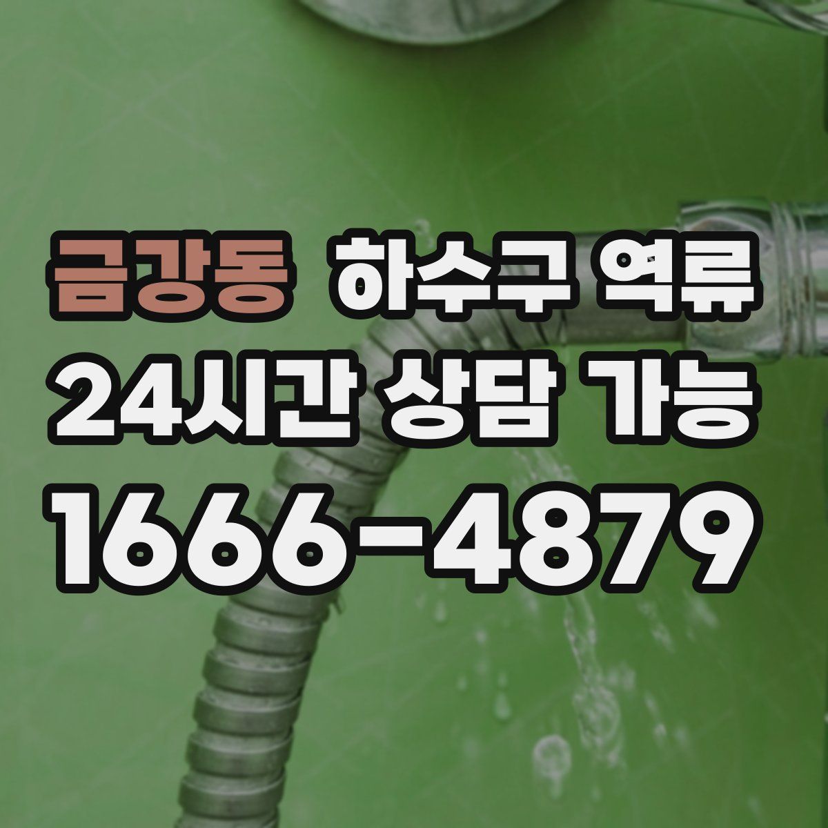 금강동 하수구 역류