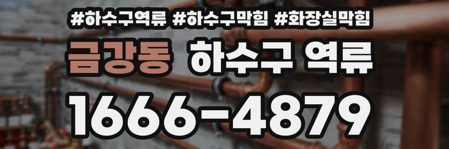 금강동 하수구 역류