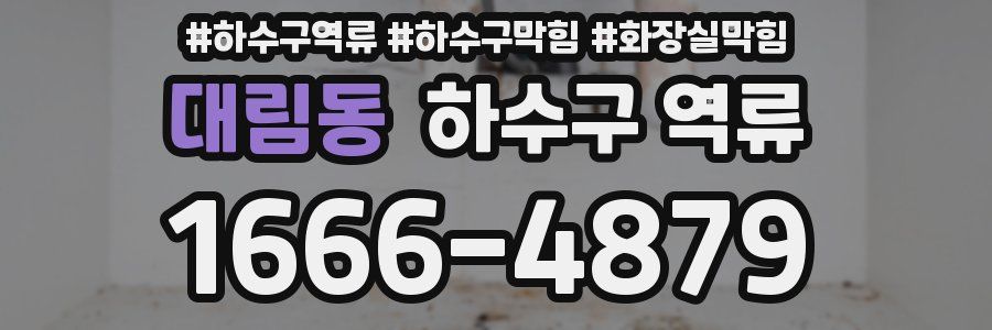 대림동 하수구 역류