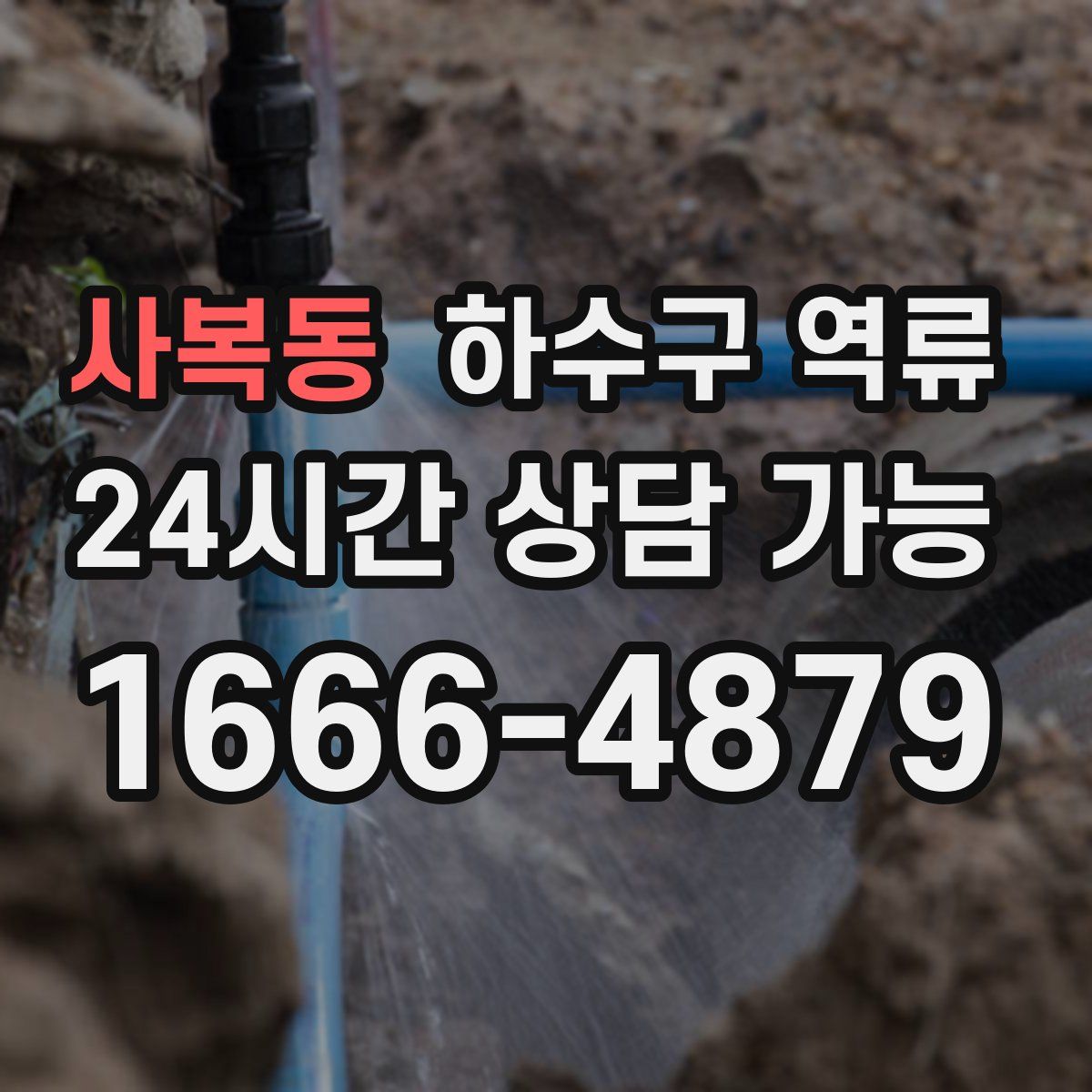 사복동 하수구 역류