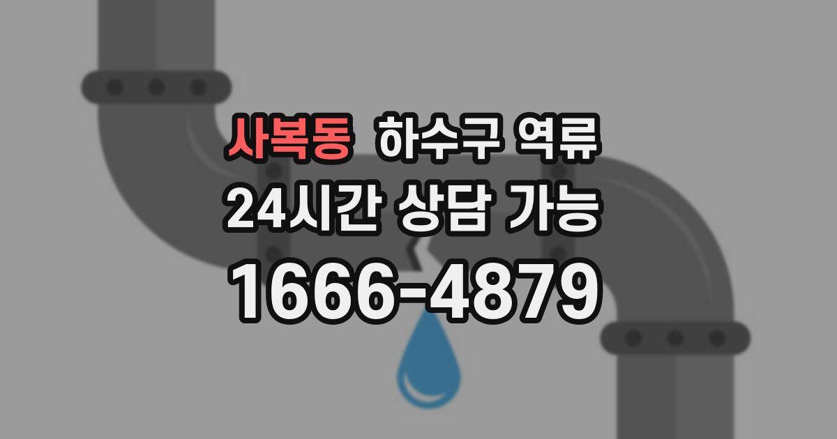 사복동 하수구 역류