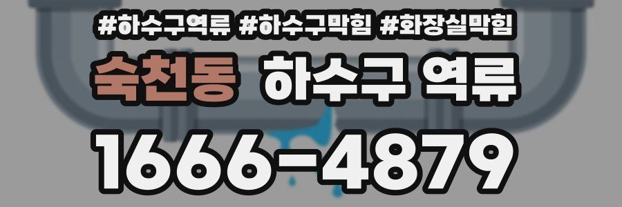 숙천동 하수구 역류