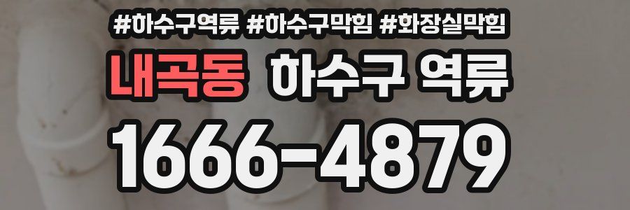 내곡동 하수구 역류