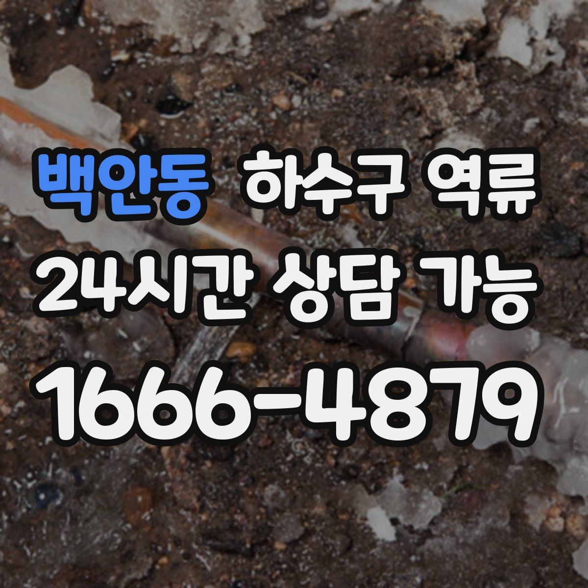 백안동 하수구 역류