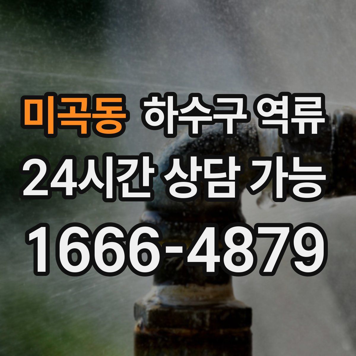 미곡동 하수구 역류