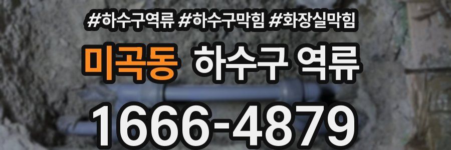 미곡동 하수구 역류