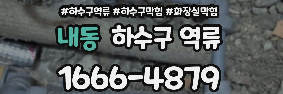 내동 하수구 역류