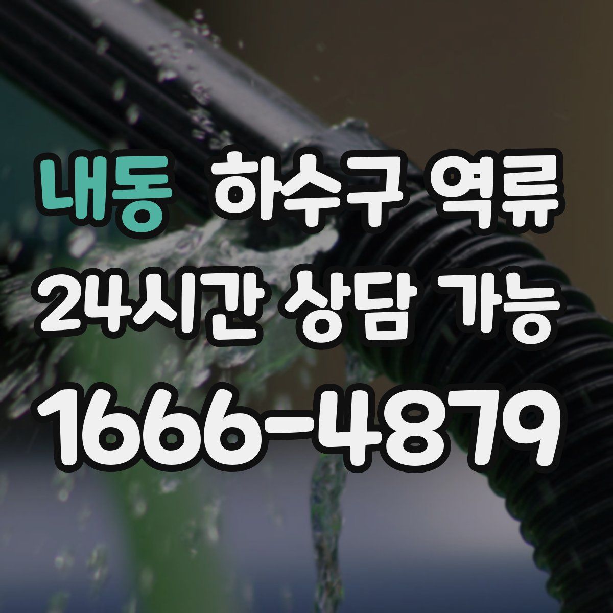 내동 하수구 역류