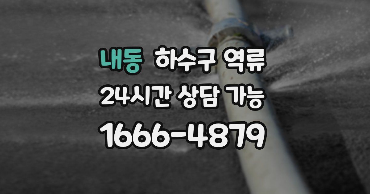 내동 하수구 역류