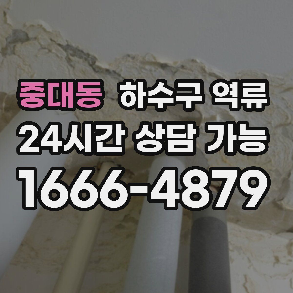 중대동 하수구 역류