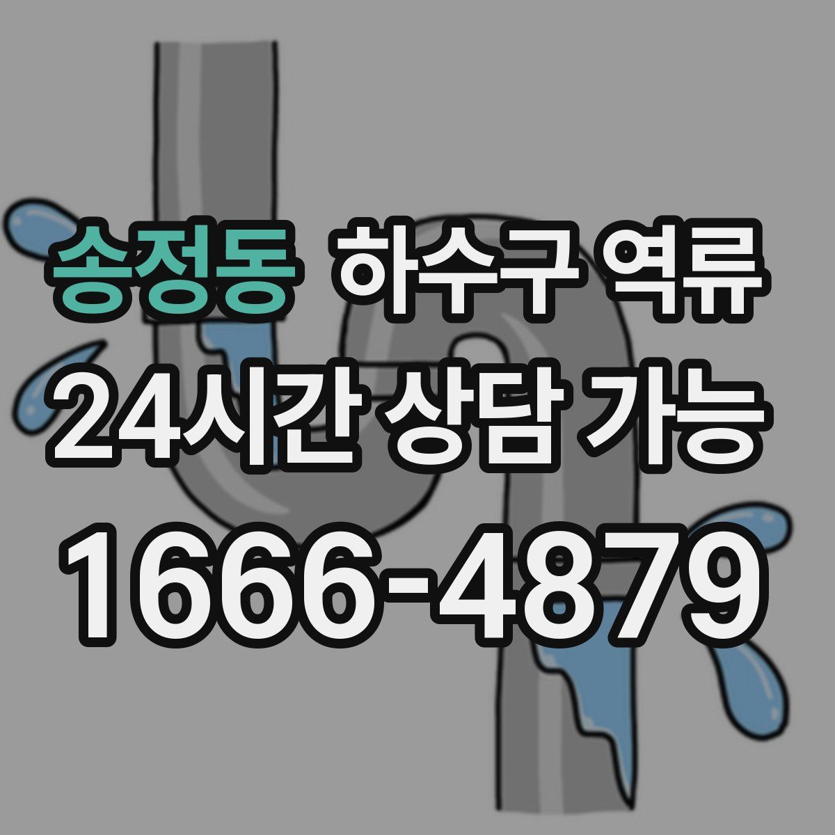 송정동 하수구 역류