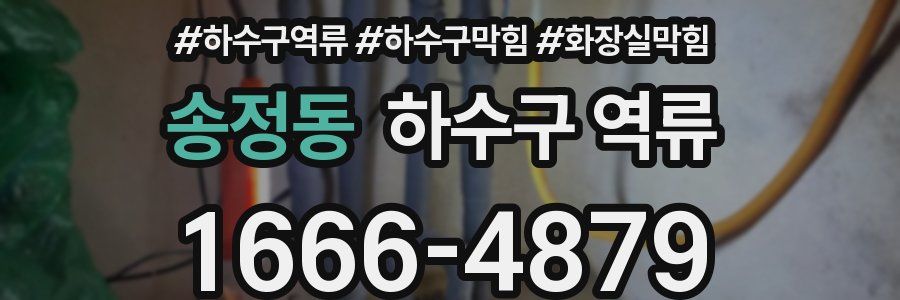 송정동 하수구 역류