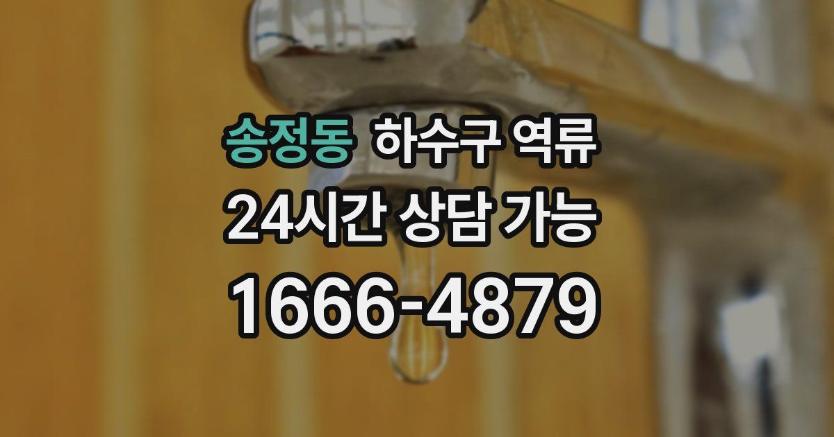 송정동 하수구 역류