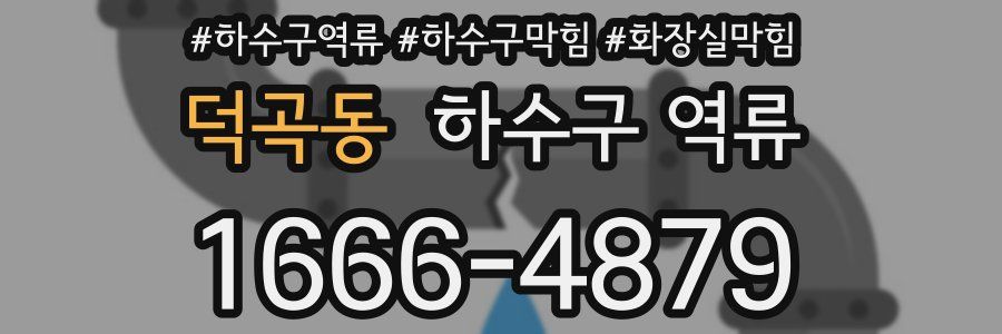 덕곡동 하수구 역류