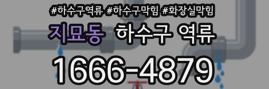 지묘동 하수구 역류