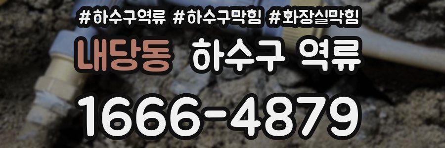 내당동 하수구 역류