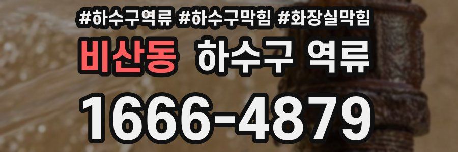 비산동 하수구 역류