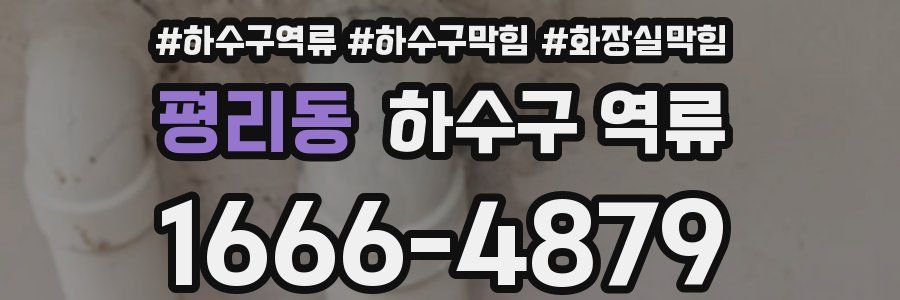 평리동 하수구 역류