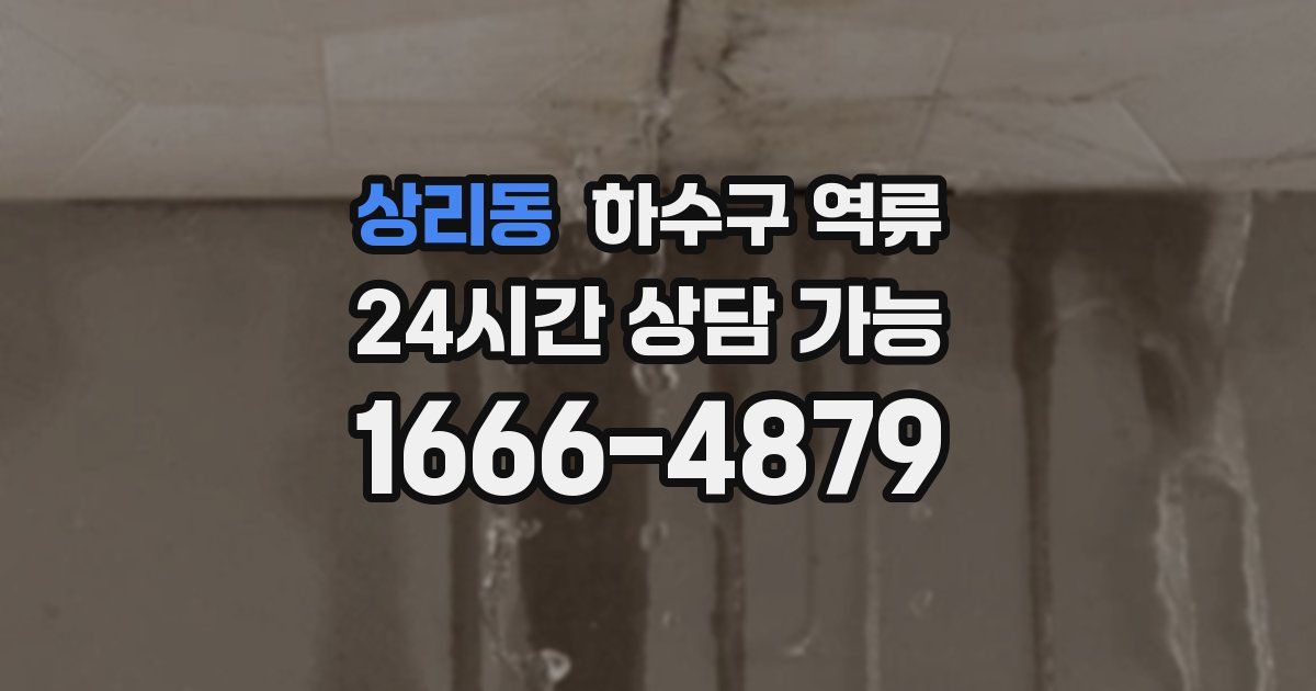 상리동 하수구 역류