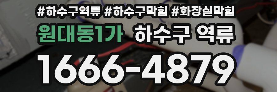 원대동1가 하수구 역류