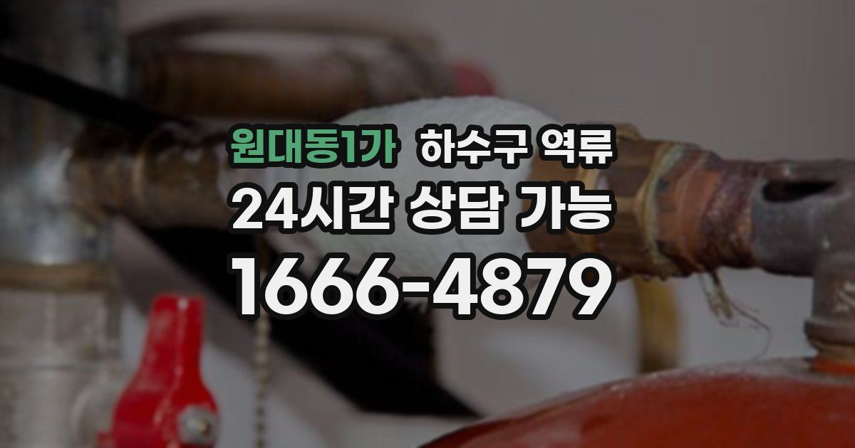 원대동1가 하수구 역류