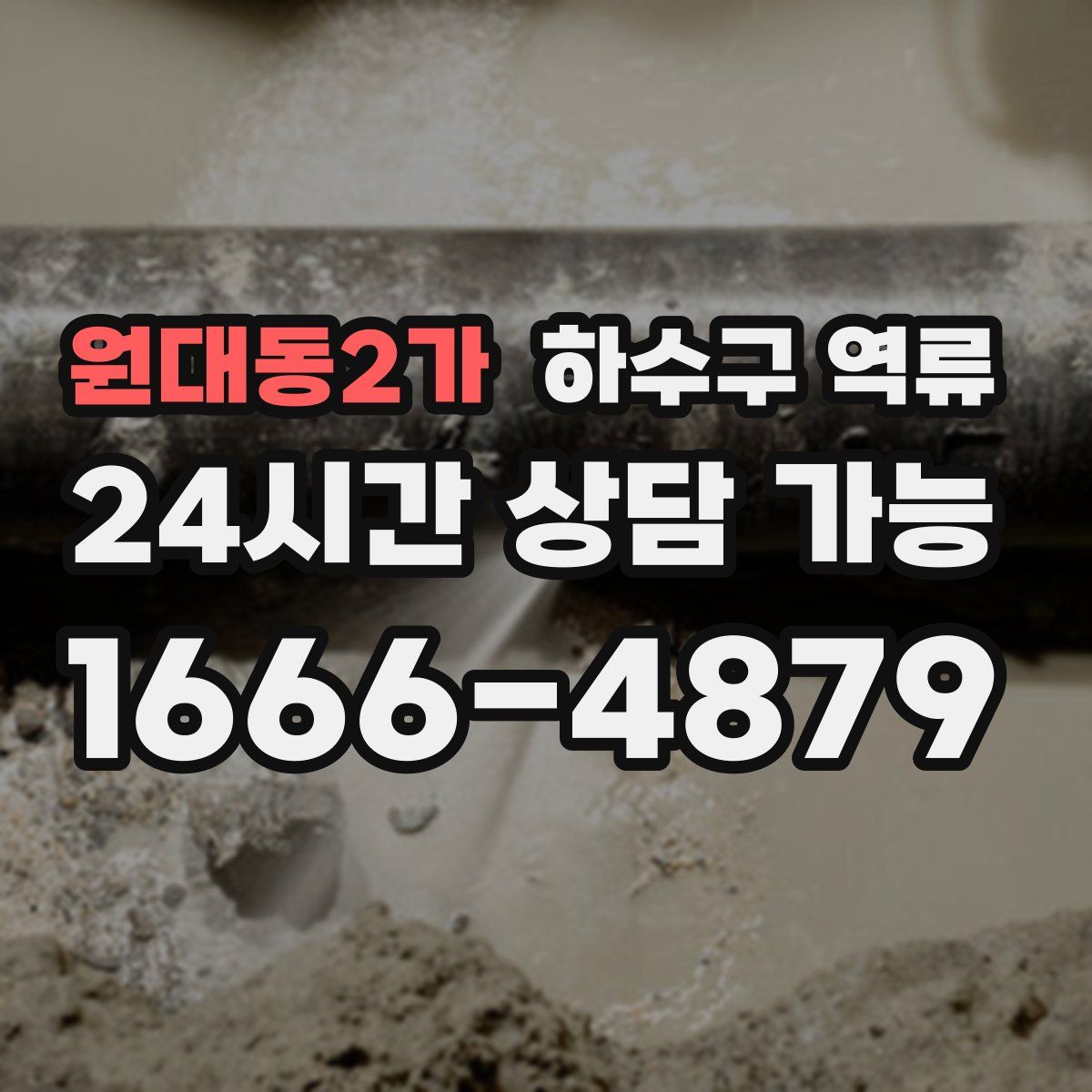 원대동2가 하수구 역류