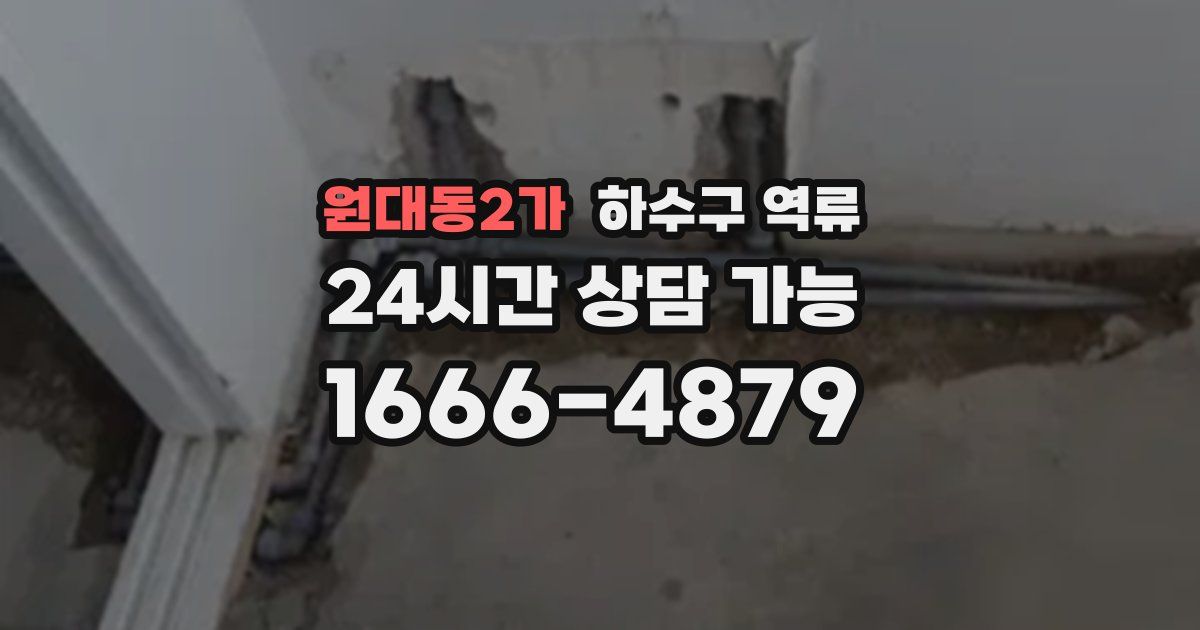 원대동2가 하수구 역류
