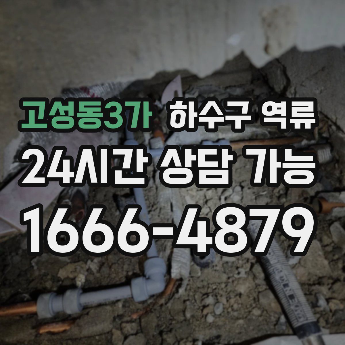 고성동3가 하수구 역류