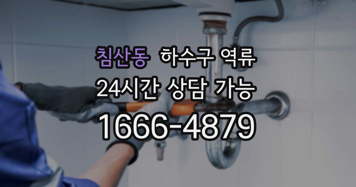침산동 하수구 역류