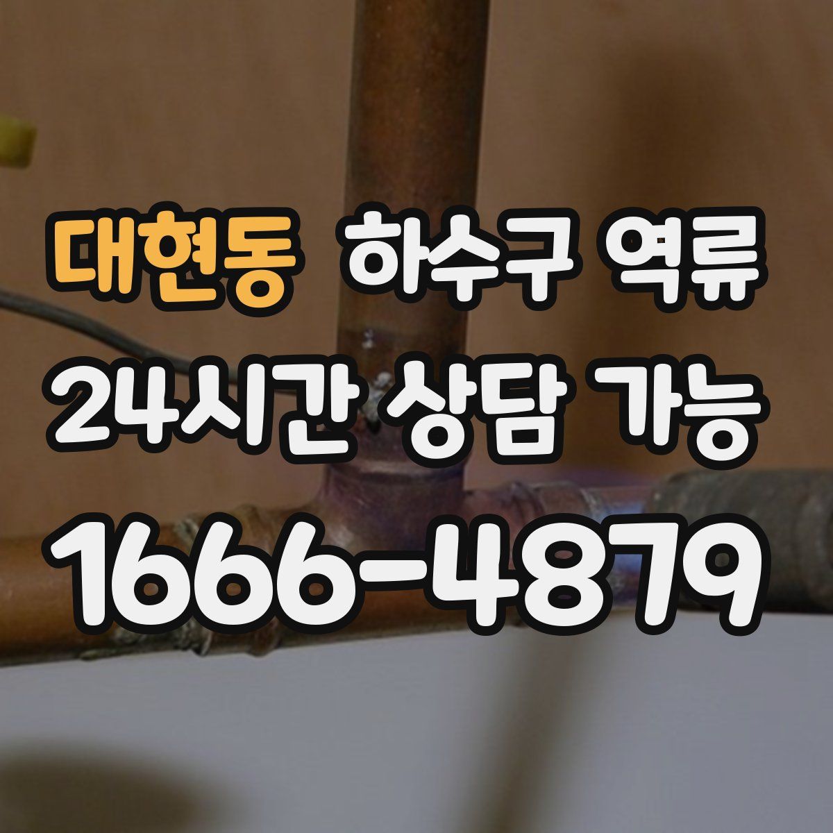 대현동 하수구 역류