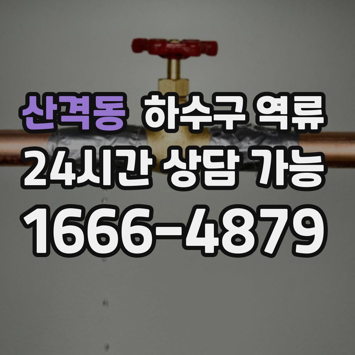 산격동 하수구 역류