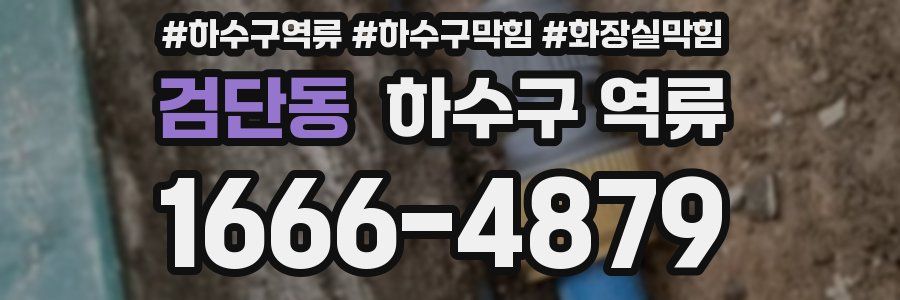 검단동 하수구 역류