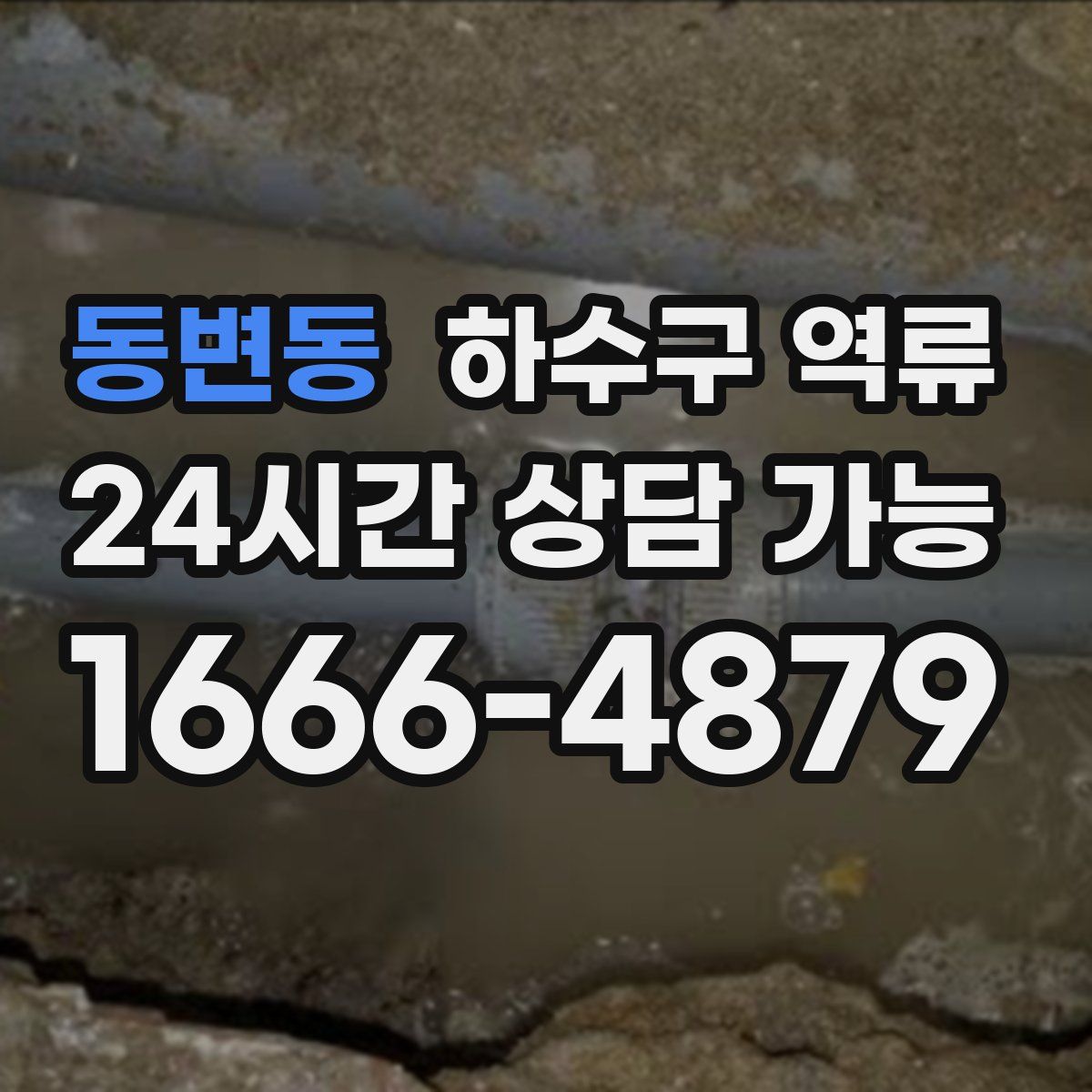 동변동 하수구 역류