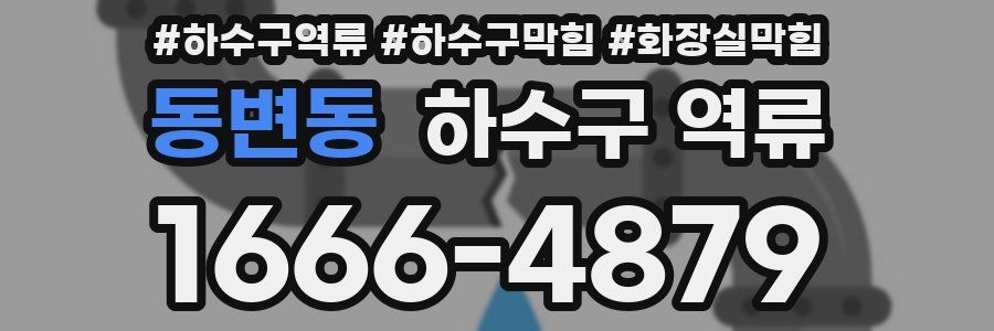 동변동 하수구 역류