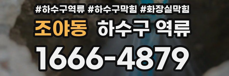 조야동 하수구 역류