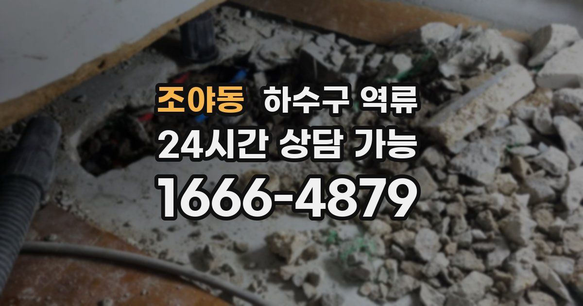 조야동 하수구 역류