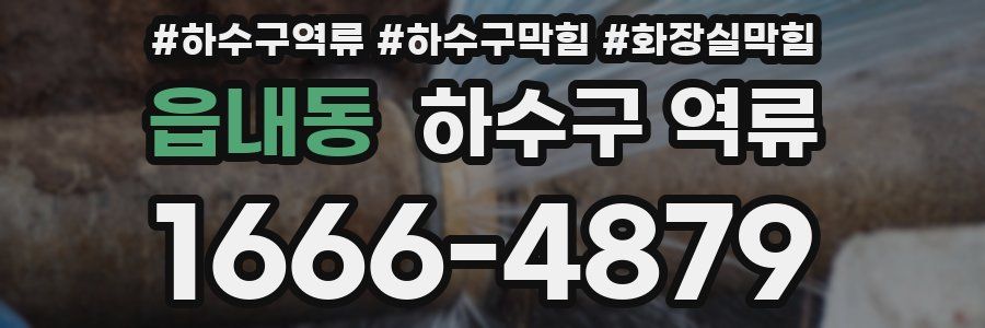 읍내동 하수구 역류